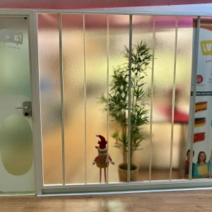 Puerta nuevo local 2